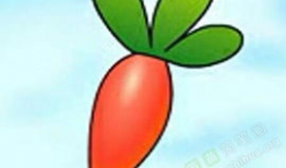 萝卜视频,揭秘短视频时代的魅力与机遇